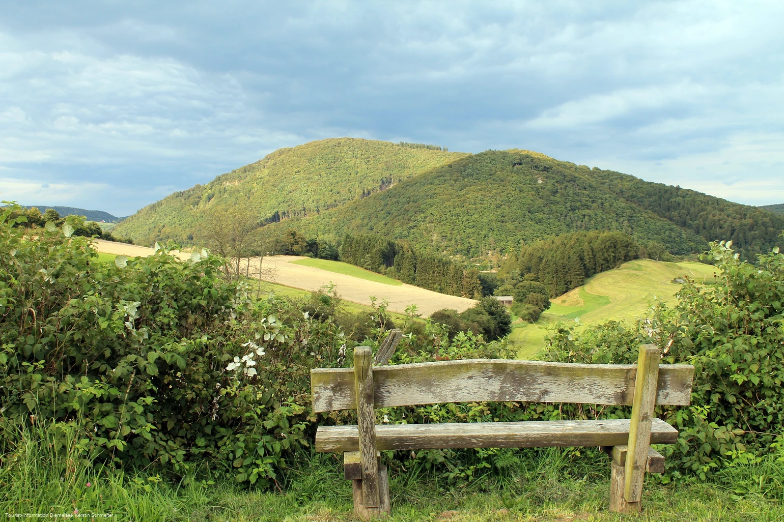 Stormbrucher Wanderweg