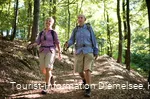 Wandern Richtung Rhenequelle in Diemelsee-Schweinsbühl
