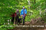 Rundwanderweg Diemelsee Wirmighausen