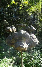 Schwebende Pilze