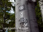 Wanderwegmarkierungen Valme