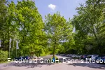 Parkplatz Friedwald