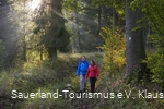 Auf der Sauerland-Waldroute am Möhnesee