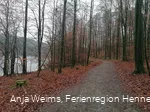 Wegbeschaffenheit Wogenweg am Hennesee