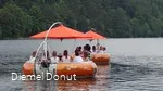 Diemel Donut
