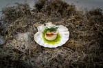 Romantik Hotel Platte - Kulinarik Fine Dining 1 - © Bastian Meiritz – CC-BY-SA.jpg