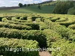 Labyrinth