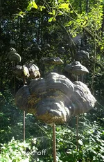 Schwebende Pilze