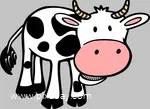 Symbol Kuh