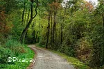 Wanderweg.jpg