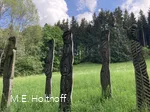 Prozession